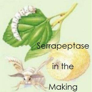 benefits of Serrapeptase