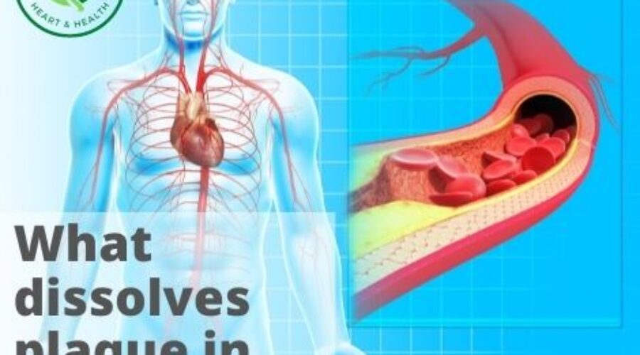 Prevent a heart attack by dissolving plaque in arteries