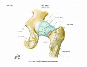 Bursitis hip pain relief that really works