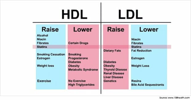 HDL LDL image