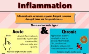 inflammation