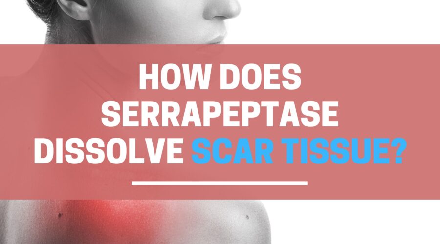 How does Serrapeptase dissolve scar tissue?