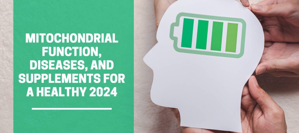 Mitochondrial Function, Diseases, and Supplements for a healthy 2024